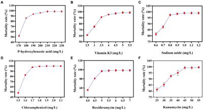 Analysis of the improved mechanism of Rhodobacter sphaeroides VK-2-3 coenzyme Q10 by reverse metabolic engineering